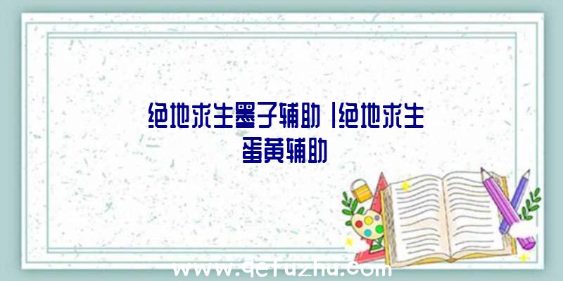 「绝地求生墨子辅助」|绝地求生【蛋黄辅助】